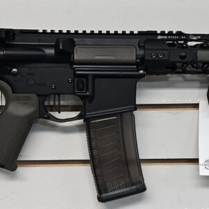 Palmetto State PA-15 300 Blk. Pistol